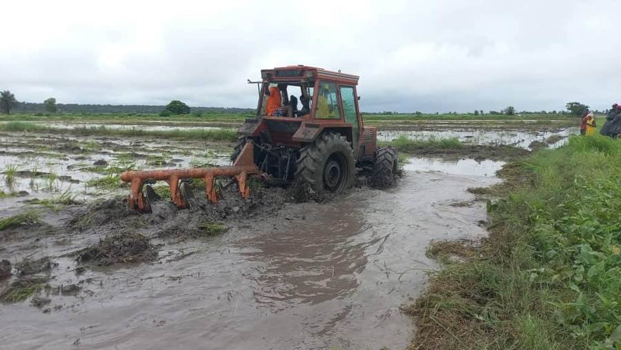 Tracteur labourant une rizière du projet Malé Gnonkhoumè